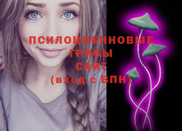 метамфетамин Алексеевка