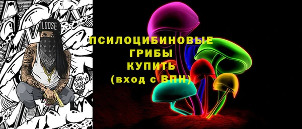 дживик Новодвинск